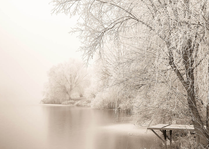 Ljuddämpande tavla - Frozen Tree