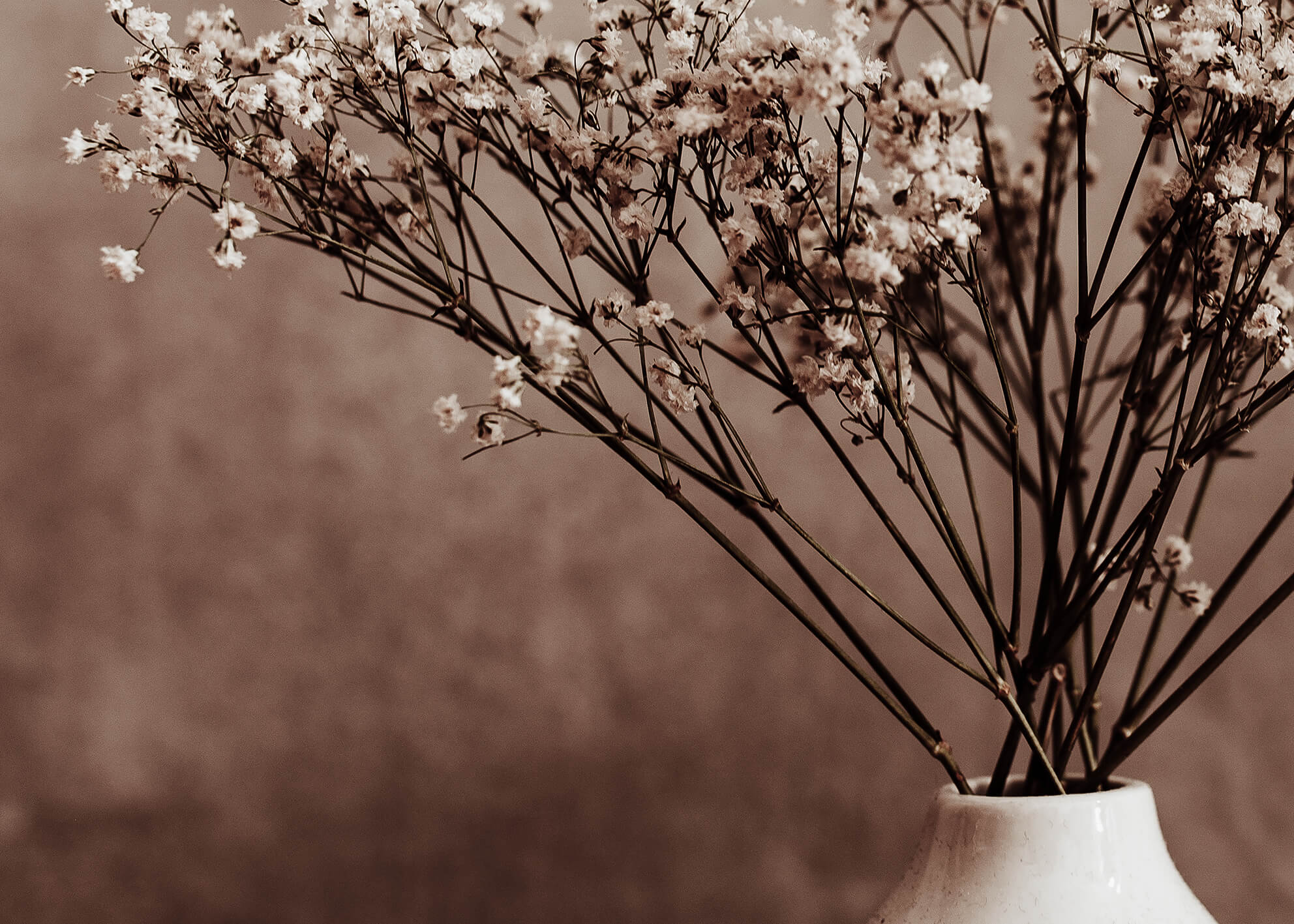 Ljuddämpande tavla - Dried Twig flower