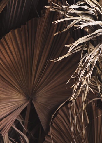Ljuddämpande tavla - Dried Tropical leaves