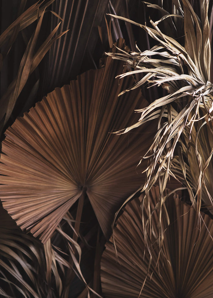 Ljuddämpande tavla - Dried Tropical leaves