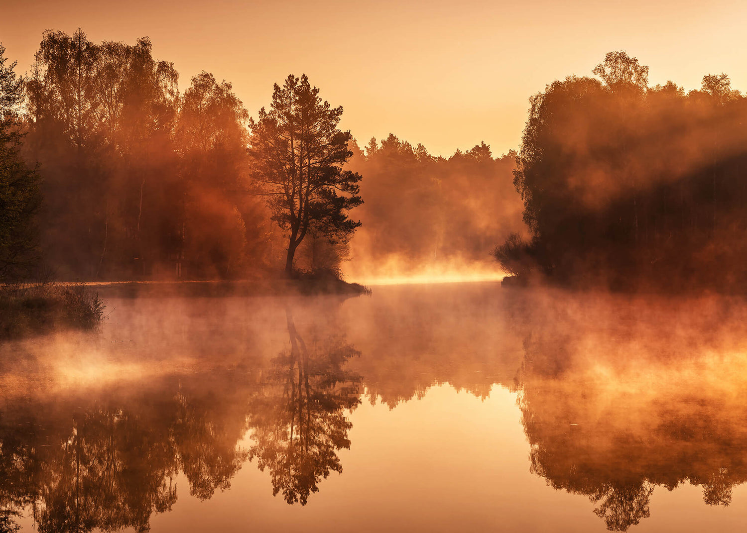 Ljuddämpande tavla - Sunny Sunrise
