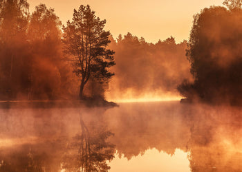 Ljuddämpande tavla - Sunny Sunrise