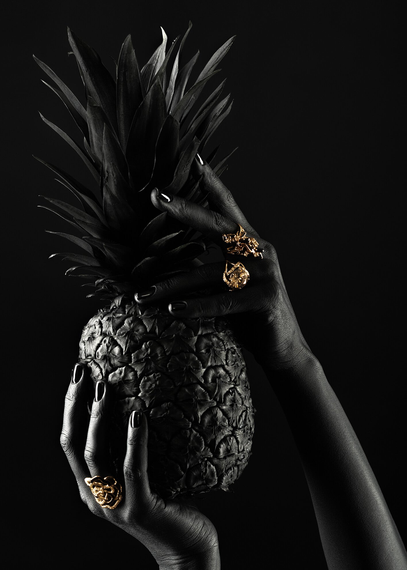 Ljuddämpande tavla - Black Pineapple