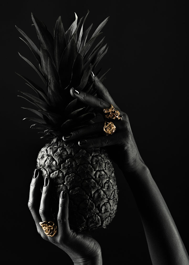 Ljuddämpande tavla - Black Pineapple