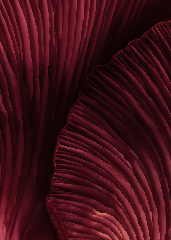 Ljuddämpande tavla - Viva Magenta