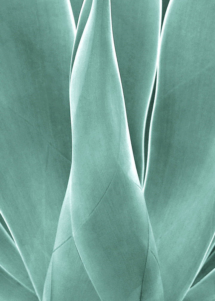 Ljuddämpande tavla - Agave