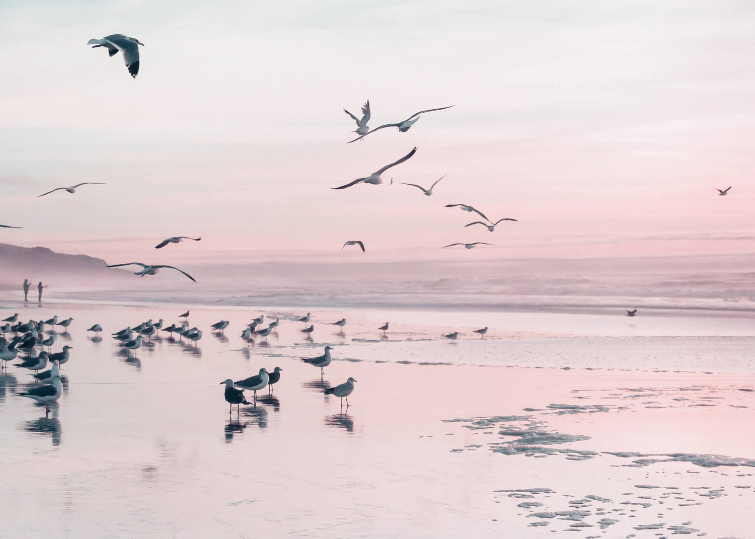 Ljuddämpande tavla - Birds and pink sunset