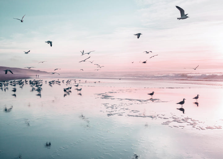 Ljuddämpande tavla - Birds and pink sunset