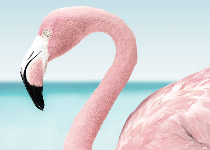 Ljuddämpande tavla - Pink flamingo