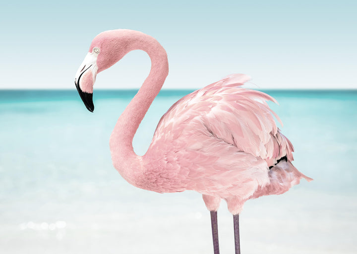 Ljuddämpande tavla - Pink flamingo