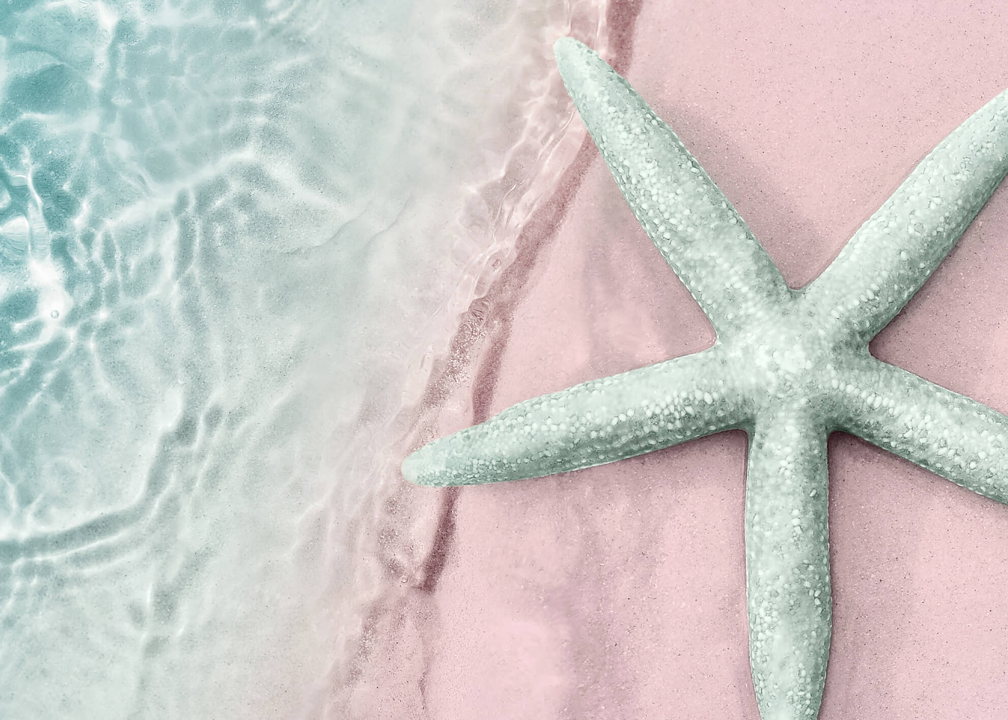 Ljuddämpande tavla  - Turquoise starfish