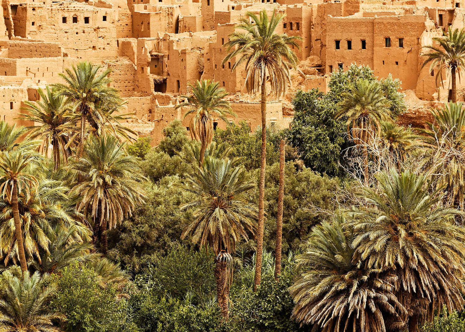 Ljuddämpande tavla - Morocco dades valley