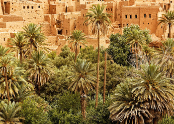 Ljuddämpande tavla - Morocco dades valley