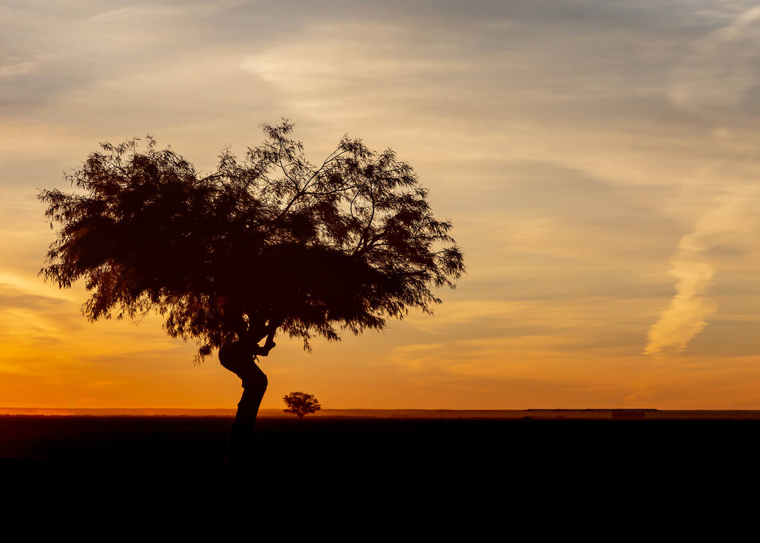 Ljuddämpande tavla - African landscape