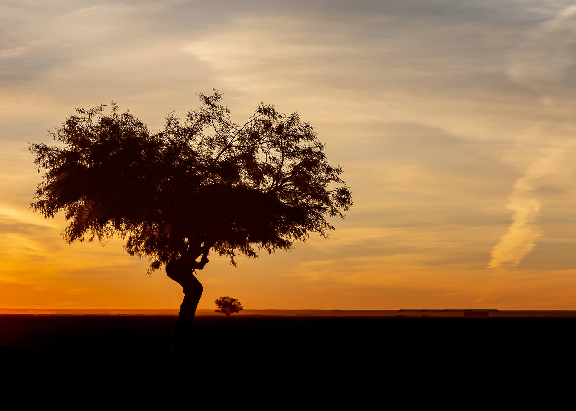 Ljuddämpande tavla - African landscape