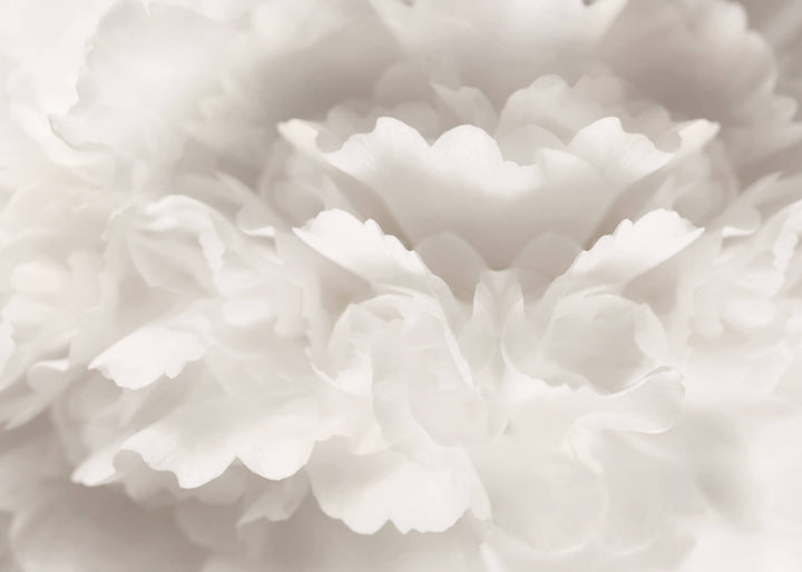 Ljuddämpande tavla - Peony Magda