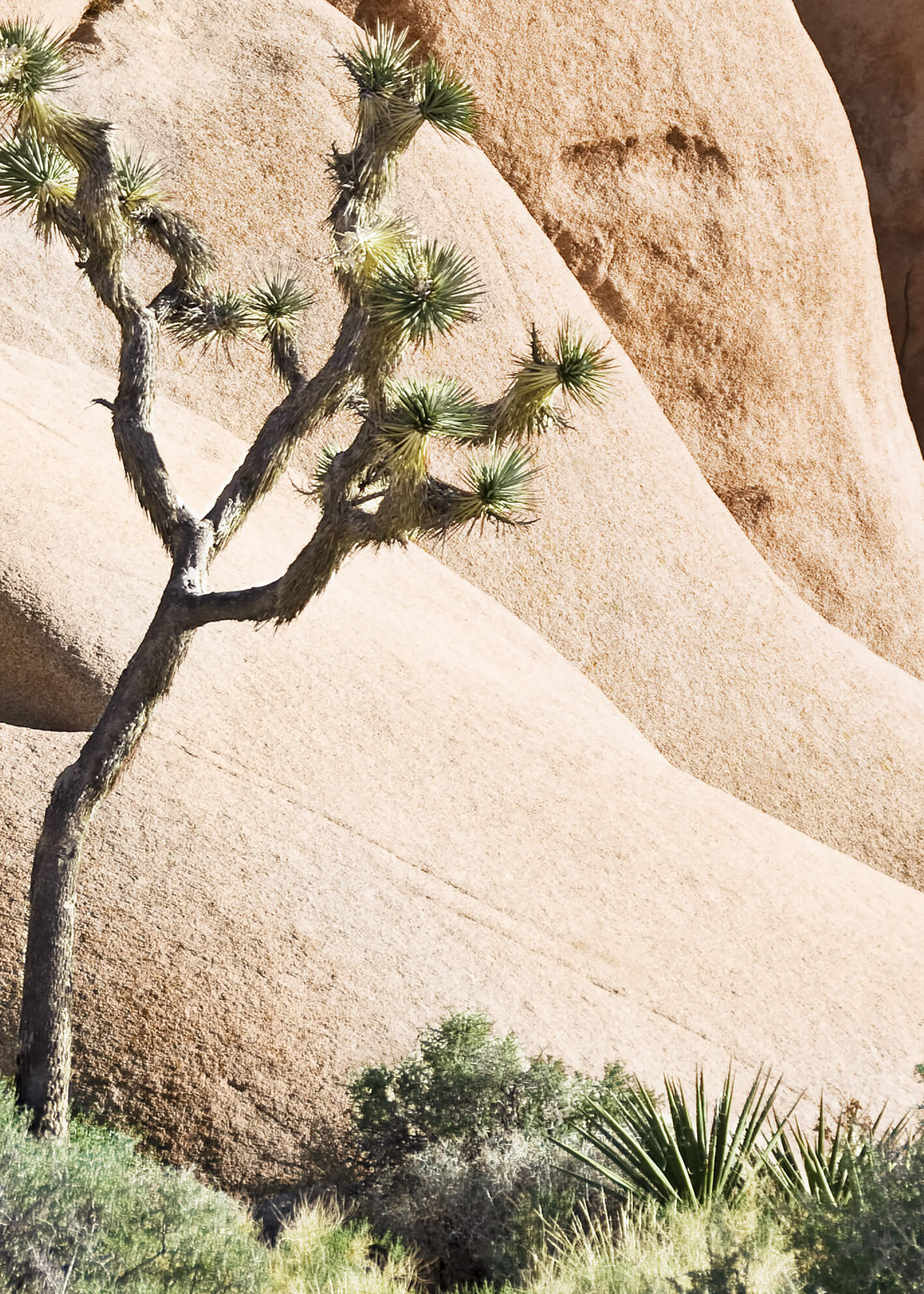 Ljuddämpande tavla - Desert Rocks
