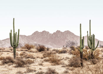 Ljuddämpande tavla - Four Peaks Wilderness