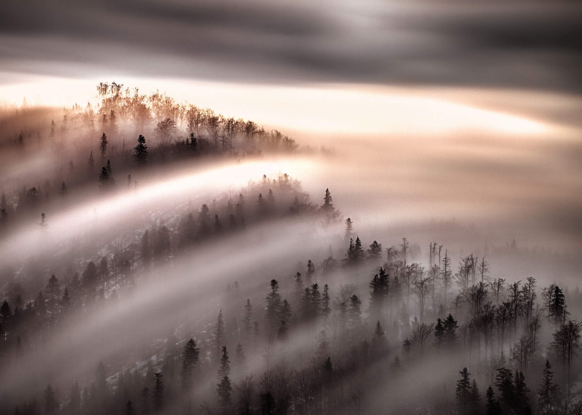 Ljuddämpande tavla - Misty Forest