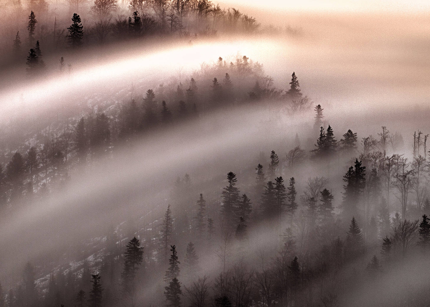 Ljuddämpande tavla - Misty Forest