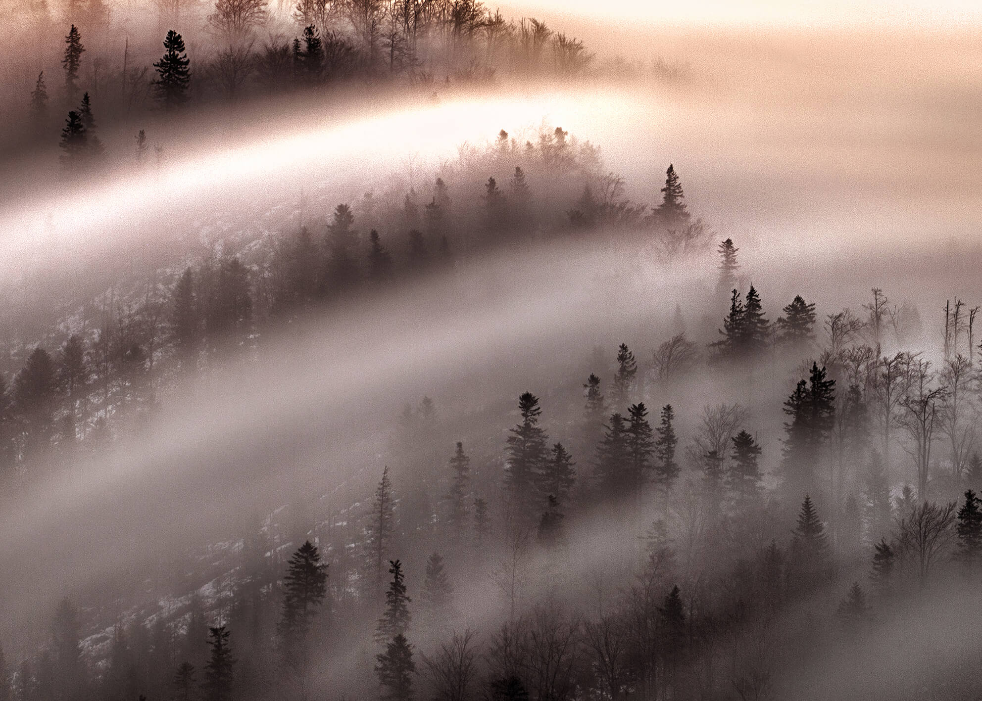 Ljuddämpande tavla - Misty Forest