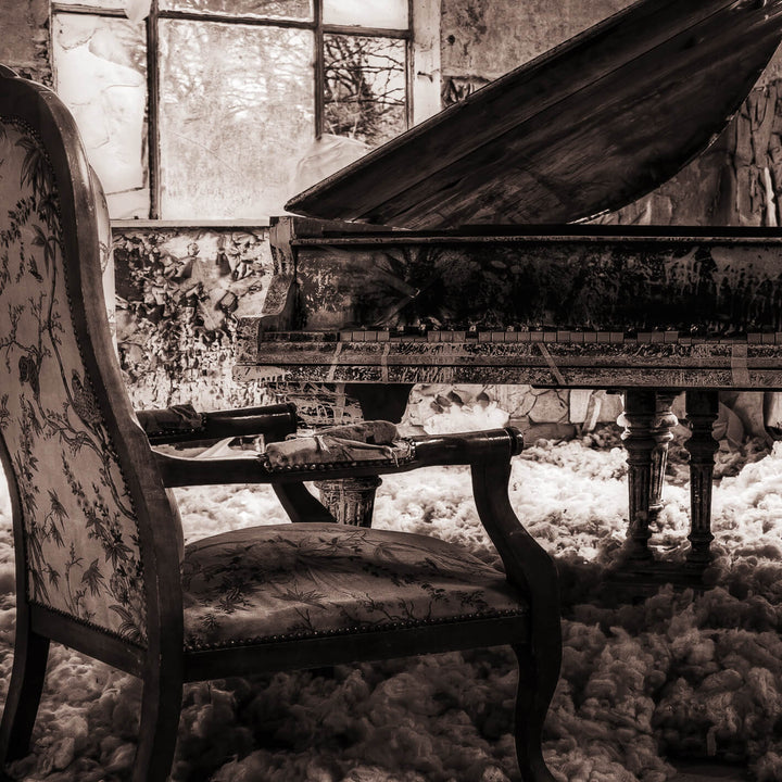 Ljuddämpande tavla - Grand Piano