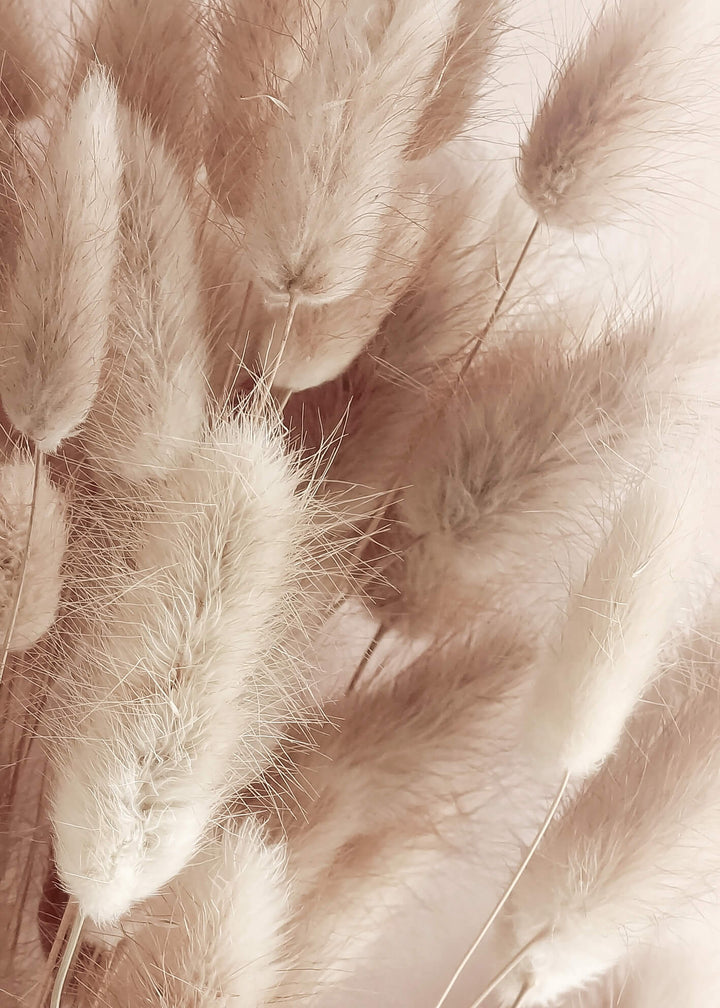 Ljuddämpande tavla - Soft Pampas No1