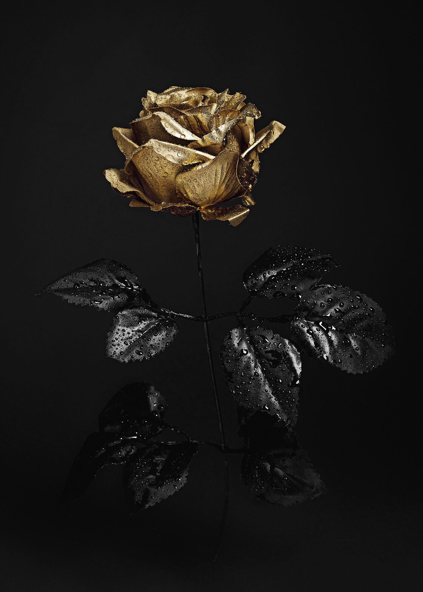 Ljuddämpande tavla - Golden Rose