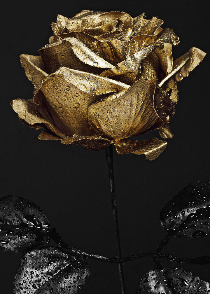 Ljuddämpande tavla - Golden Rose