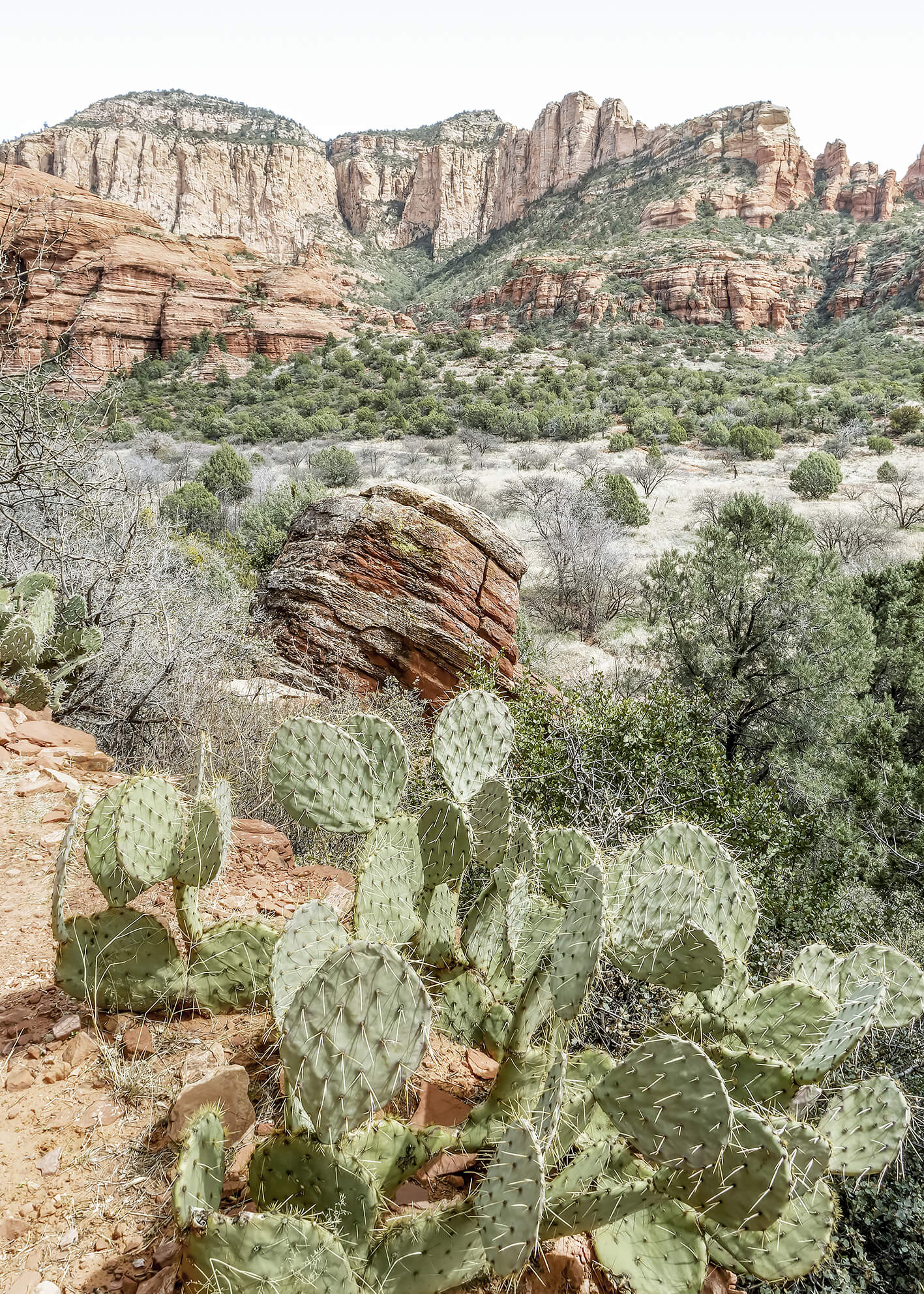 Canvastavla - The Red Canyon