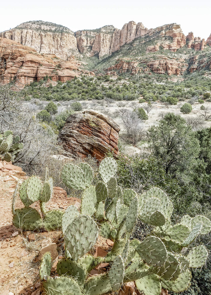 Canvastavla - The Red Canyon