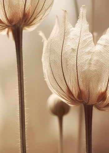 Ljuddämpande tavla - Nature Petals
