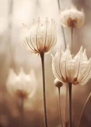 Ljuddämpande tavla - Nature Petals