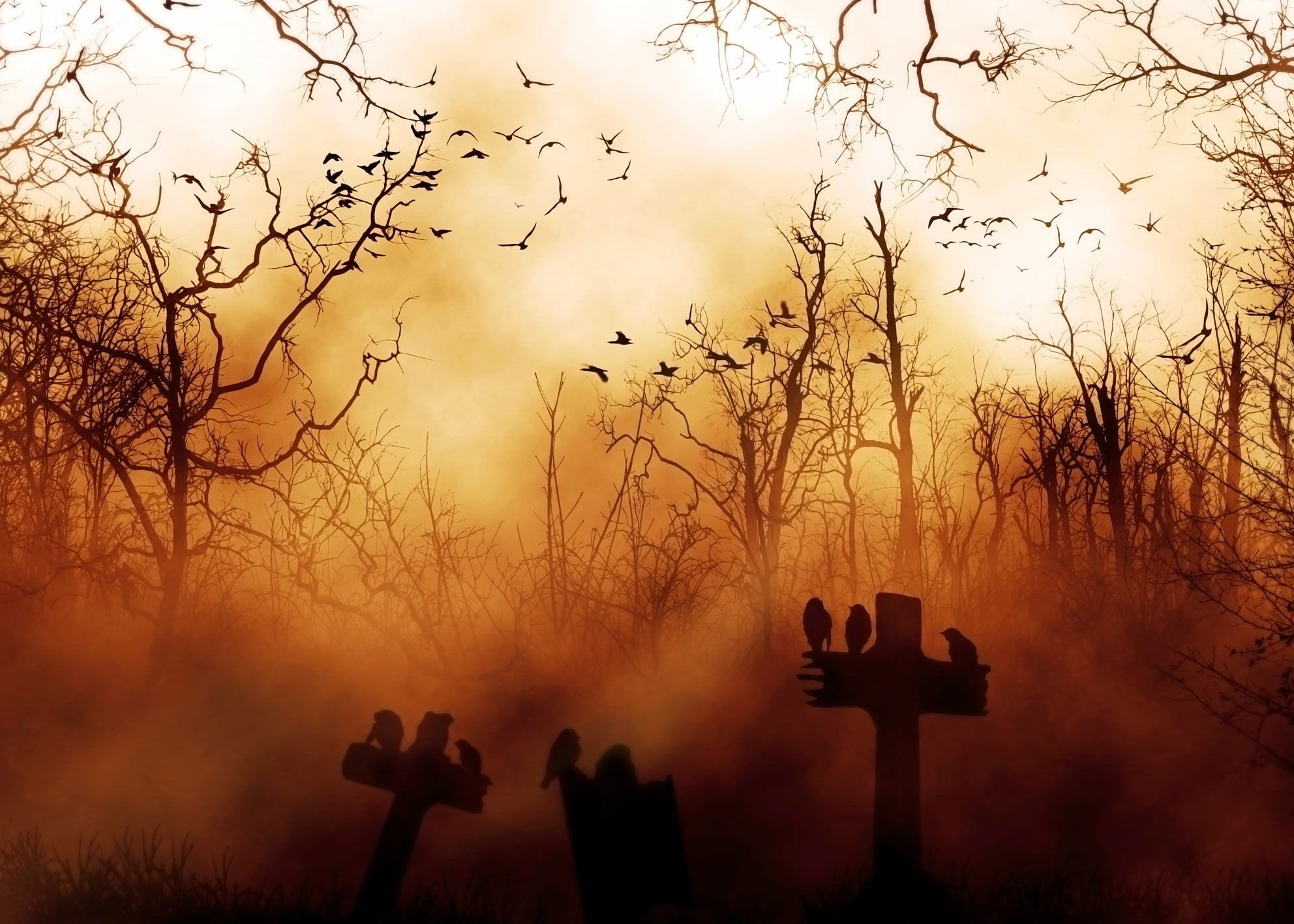 Ljuddämpande tavla - Mystic Cemetery
