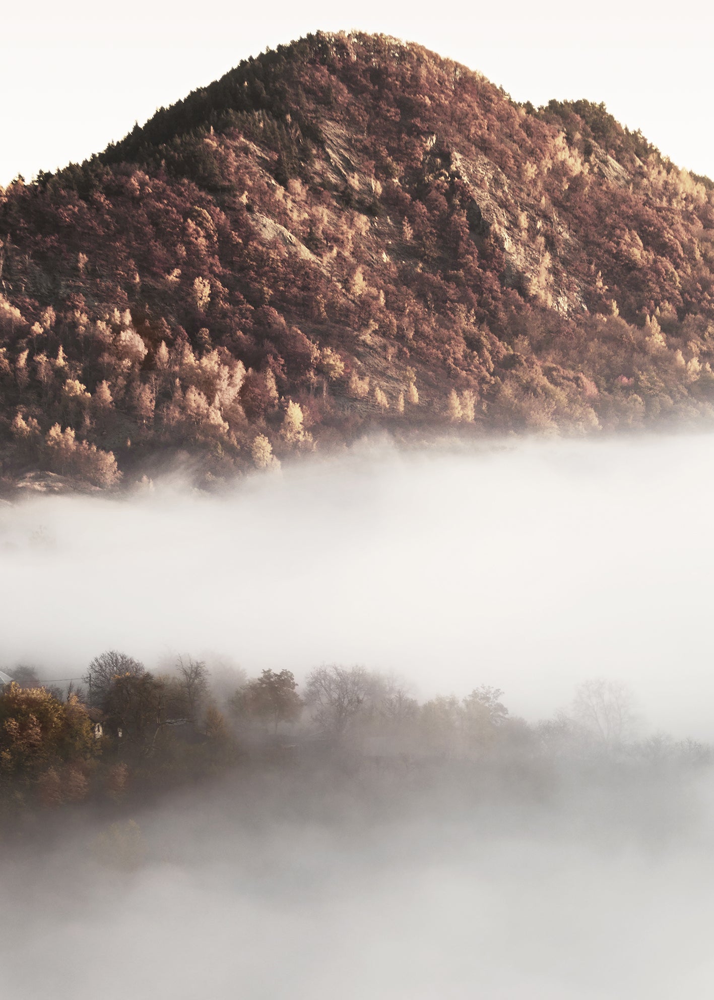 Canvastavla - Misty Morning