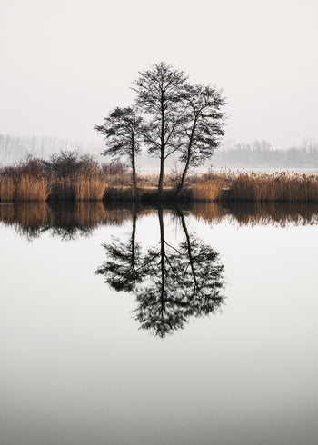 Canvastavla - Tree Lake and Reflections