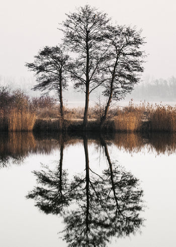 Canvastavla - Tree Lake and Reflections