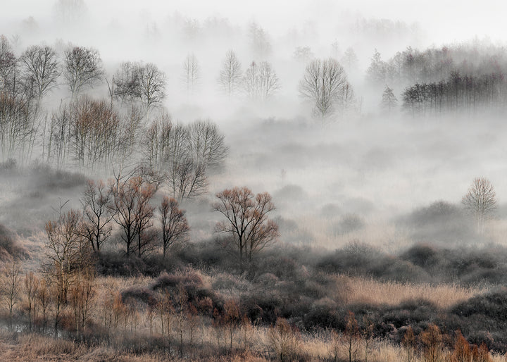 Canvastavla - Foggy Morning