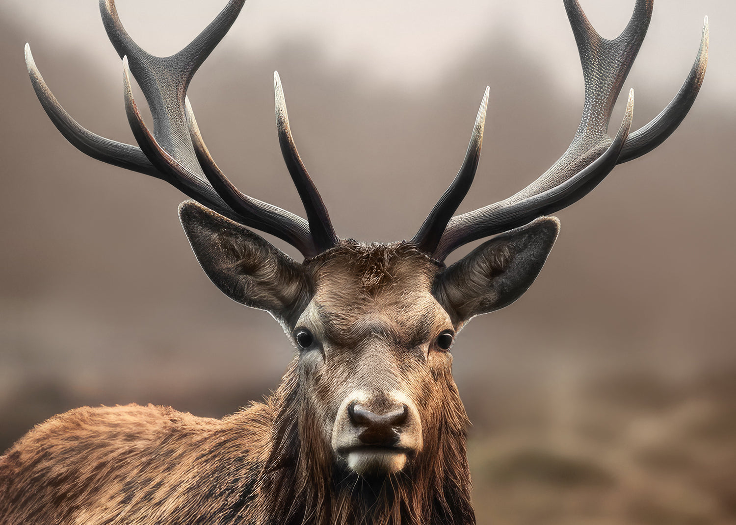 Ljuddämpande tavla - Mystic Stag