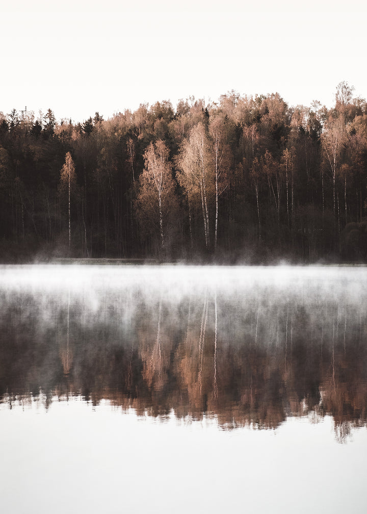 Ljuddämpande tavla - Birch Trees
