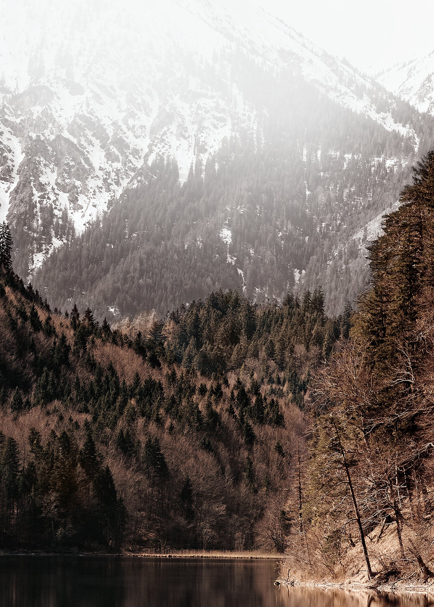 Ljuddämpande tavla - Spring by Mountains