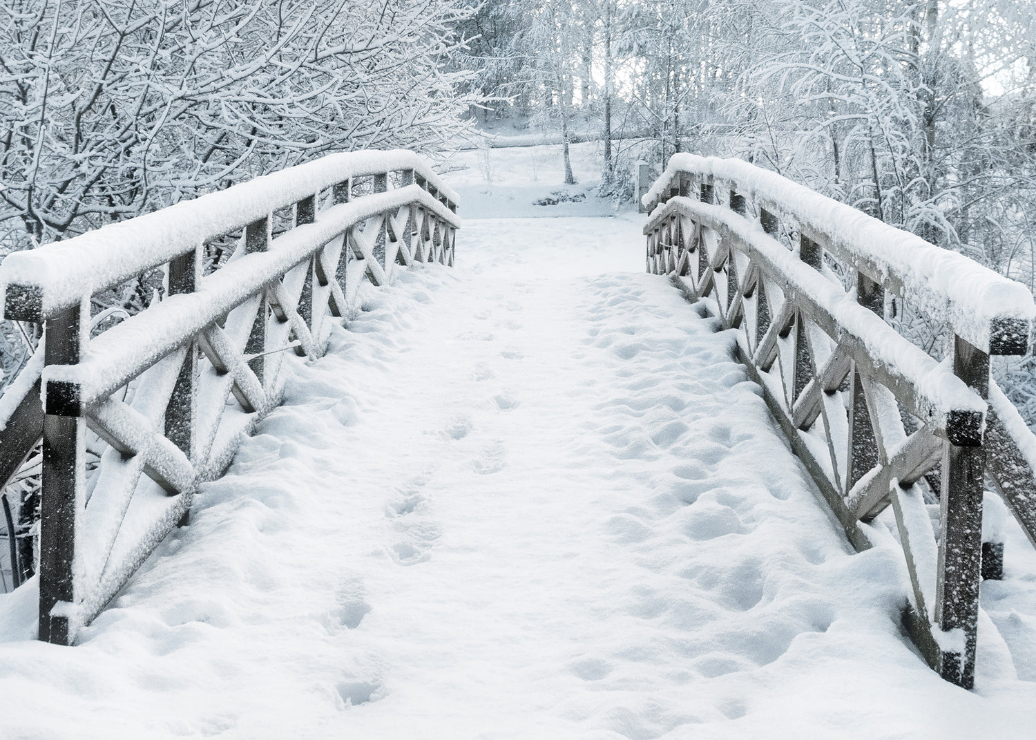 Canvastavla - Snowy Bridge