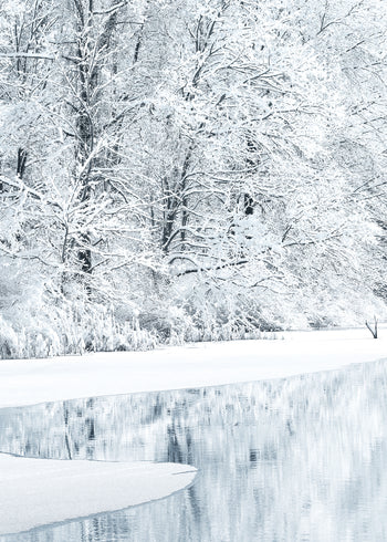 Ljuddämpande tavla - Snow Covered