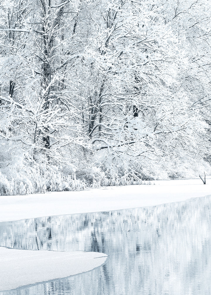 Ljuddämpande tavla - Snow Covered