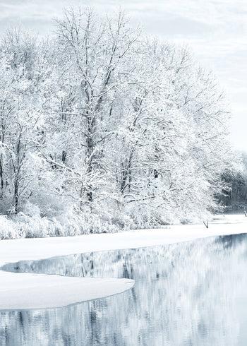Ljuddämpande tavla - Snow Covered
