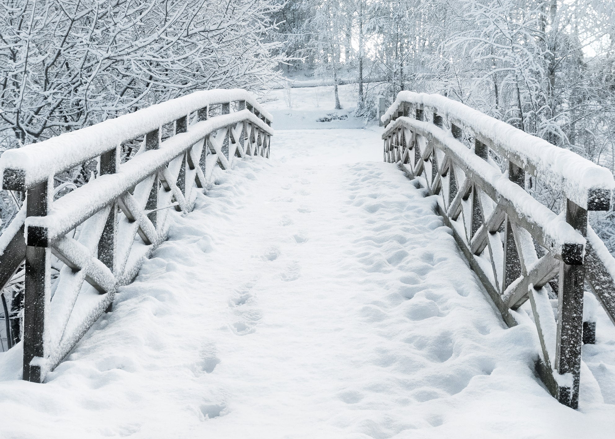 Ljuddämpande tavla - Snowy Bridge