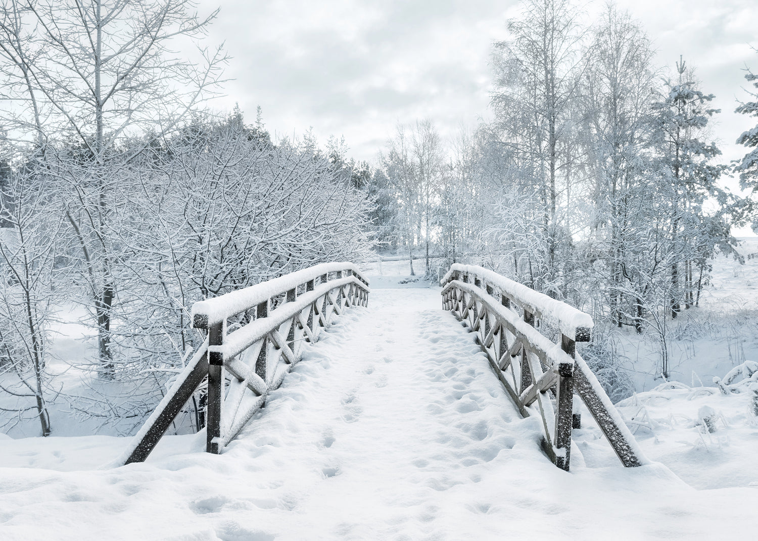 Ljuddämpande tavla - Snowy Bridge