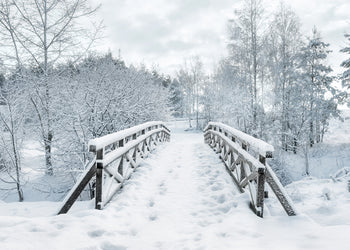 Ljuddämpande tavla - Snowy Bridge
