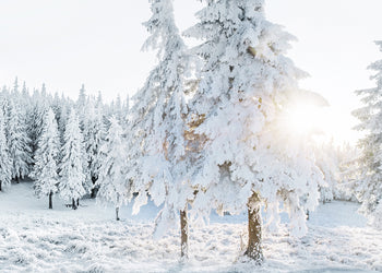 Ljuddämpande tavla - Rays of The Sun