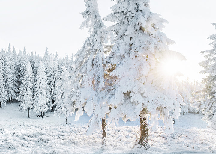 Ljuddämpande tavla - Rays of The Sun